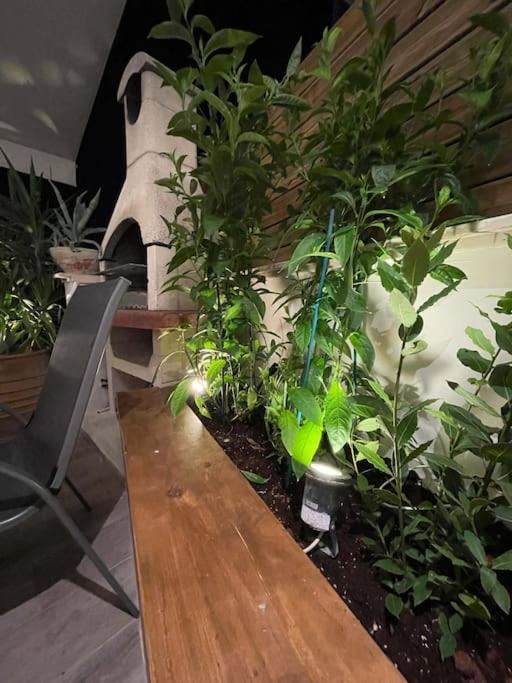 Acropolis Lux Apartment Athen Eksteriør bilde